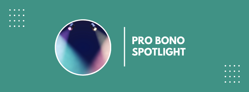 Pro Bono Newsletter Headers-3