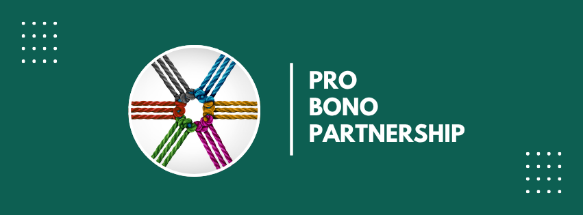 Pro Bono Newsletter Headers-5